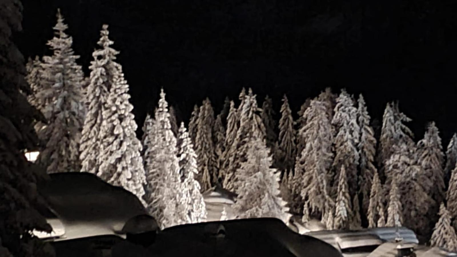 Apartment Martin Sonnenalpe Nassfeld Luaran gambar