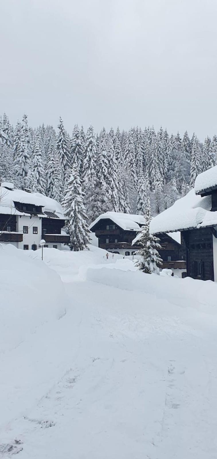 Apartment Martin Sonnenalpe Nassfeld Luaran gambar