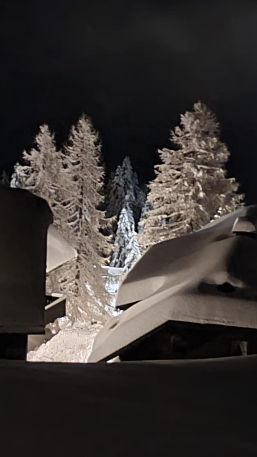 Apartment Martin Sonnenalpe Nassfeld Luaran gambar